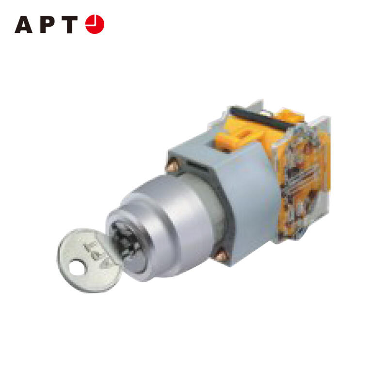 LA39-B2-11Y/a APT 二位置钥匙钮