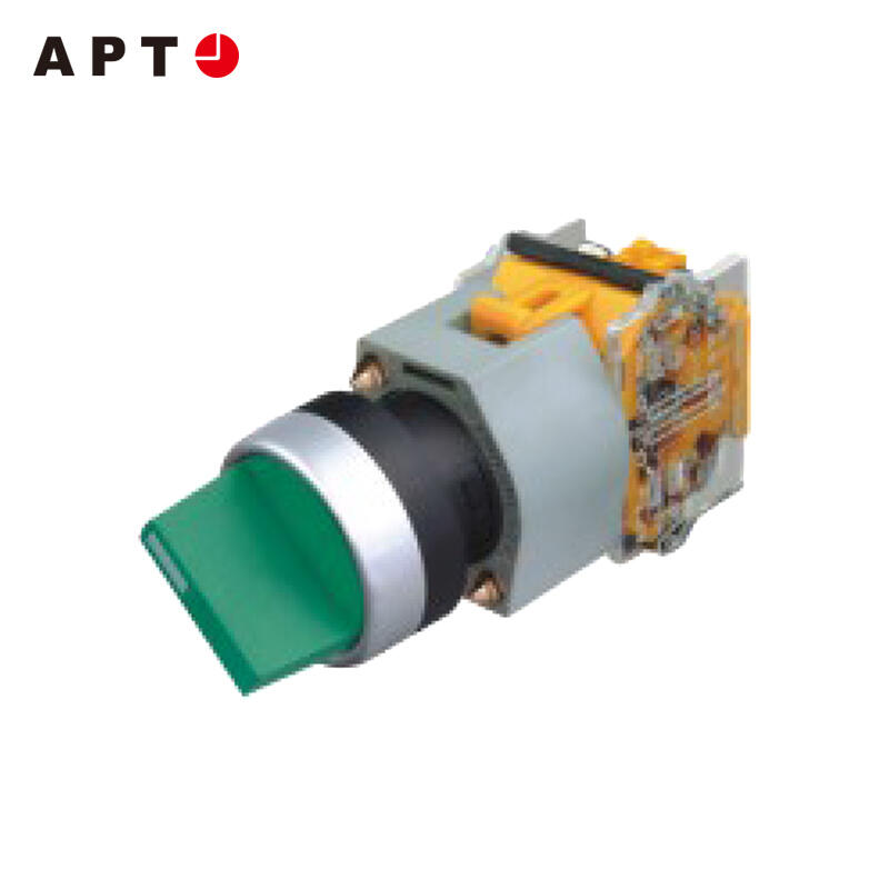 LA39-B2-11X/k APT 二位置旋钮,黑色