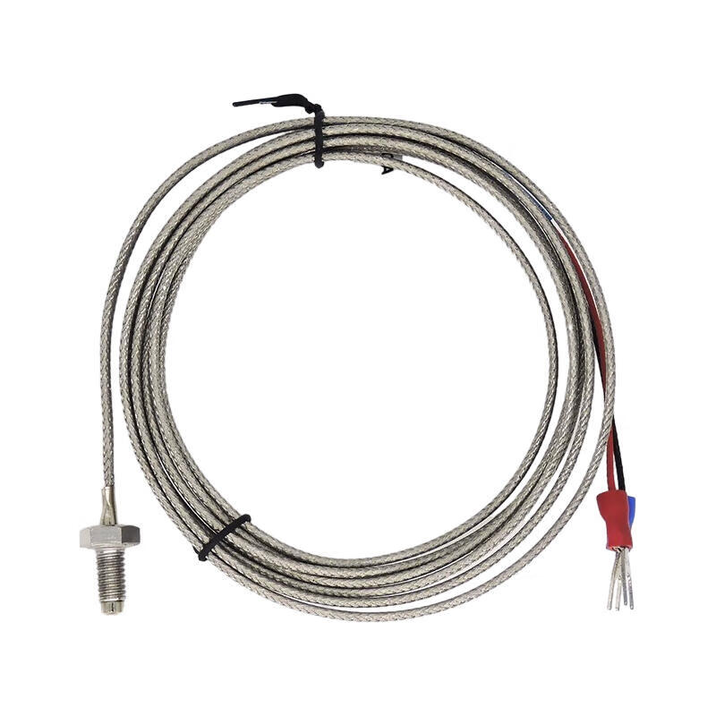 E52L-CA1D M6 2M 欧姆龙 测温体